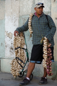 23 | cuba | 2015