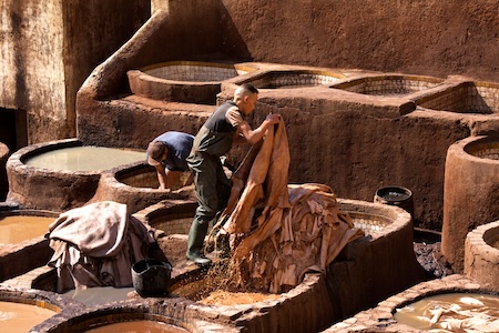 tanneries of fes 3 | morocco | 2023