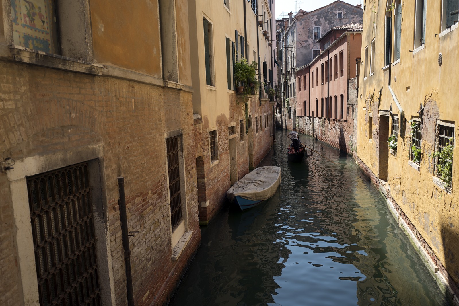 awesome | venice | 2017