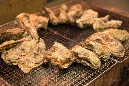 grilled oysters | george, south africa | 2016