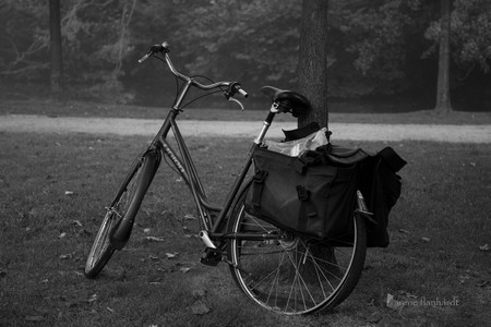 bicycle #4 | amsterdam | 2014