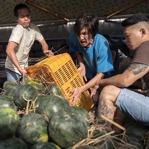 water melon workers | vietnam | 2018